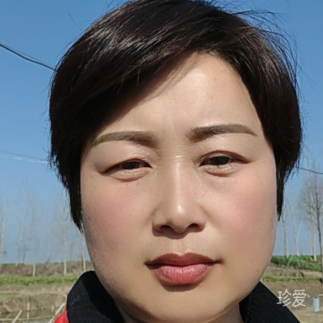 风雅玫瑰