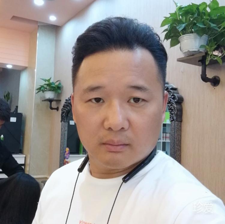 卡门的猫