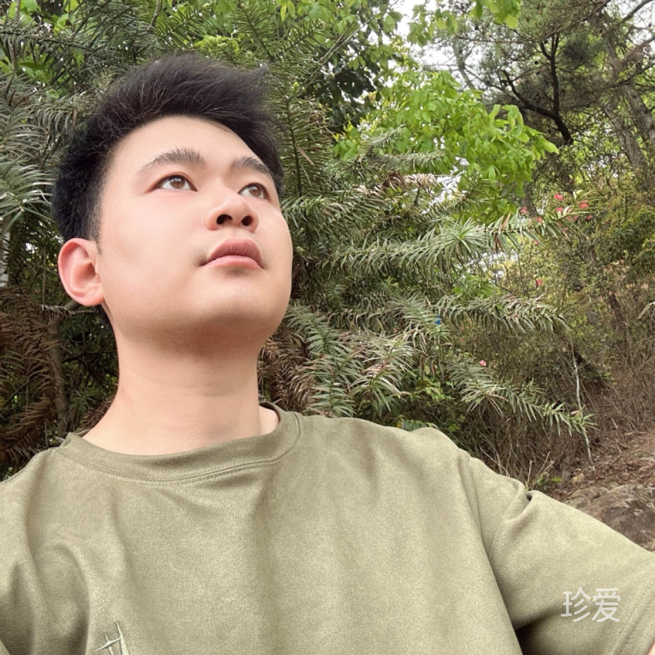 会飞的小乌龟