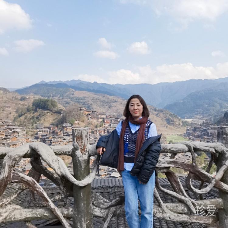 風(fēng)雨中的小鳥