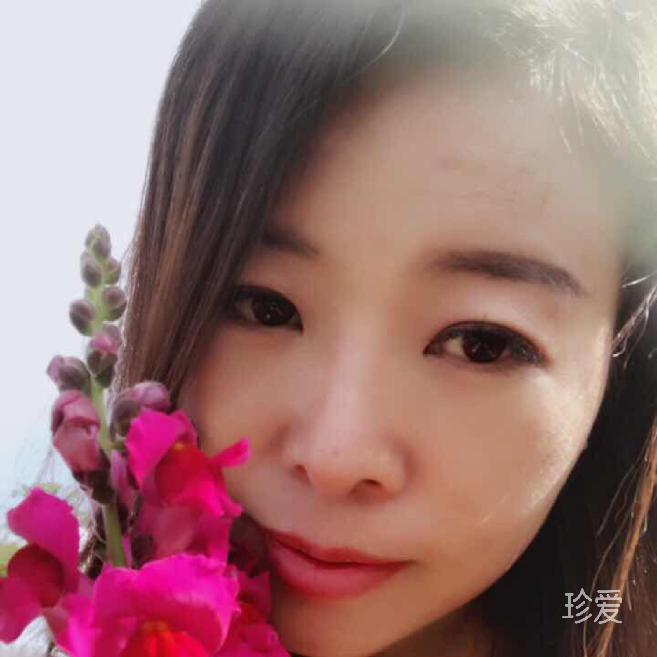 半壁蔷薇