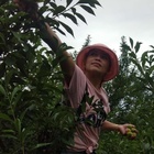 愛(ài)只能你和我
