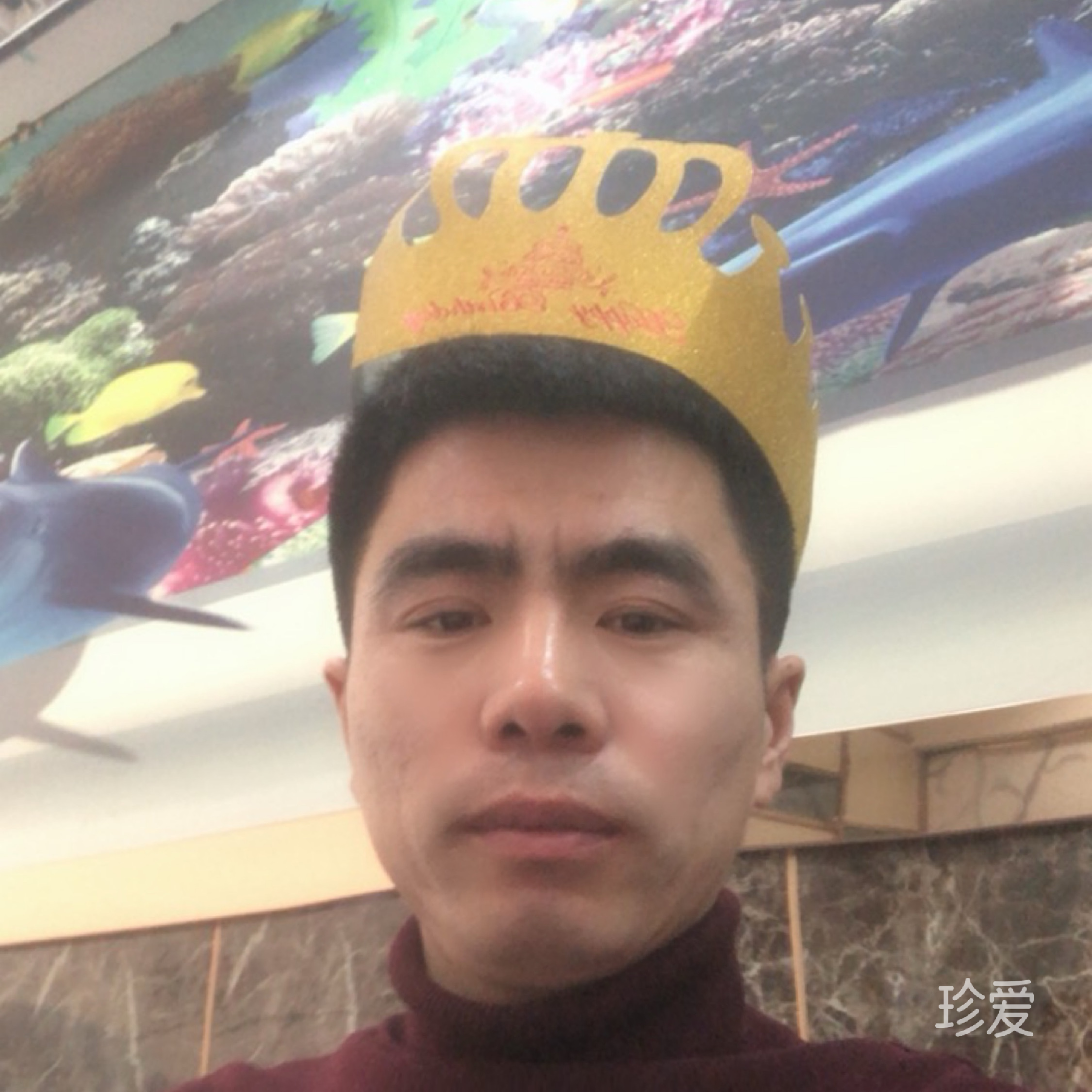 真诚的另一半