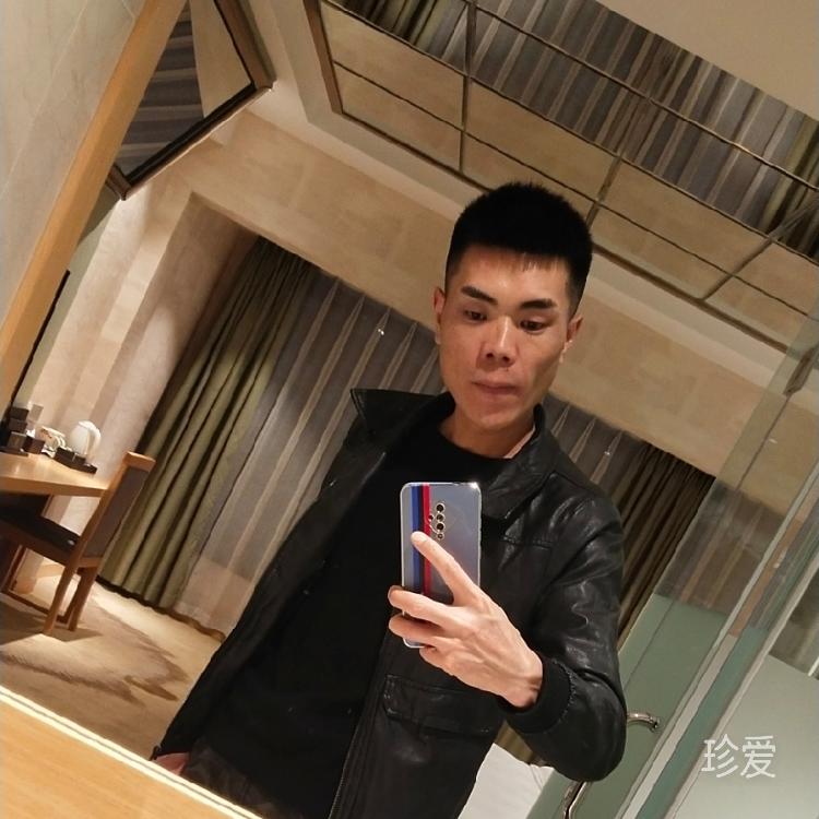 尋找最后的港灣