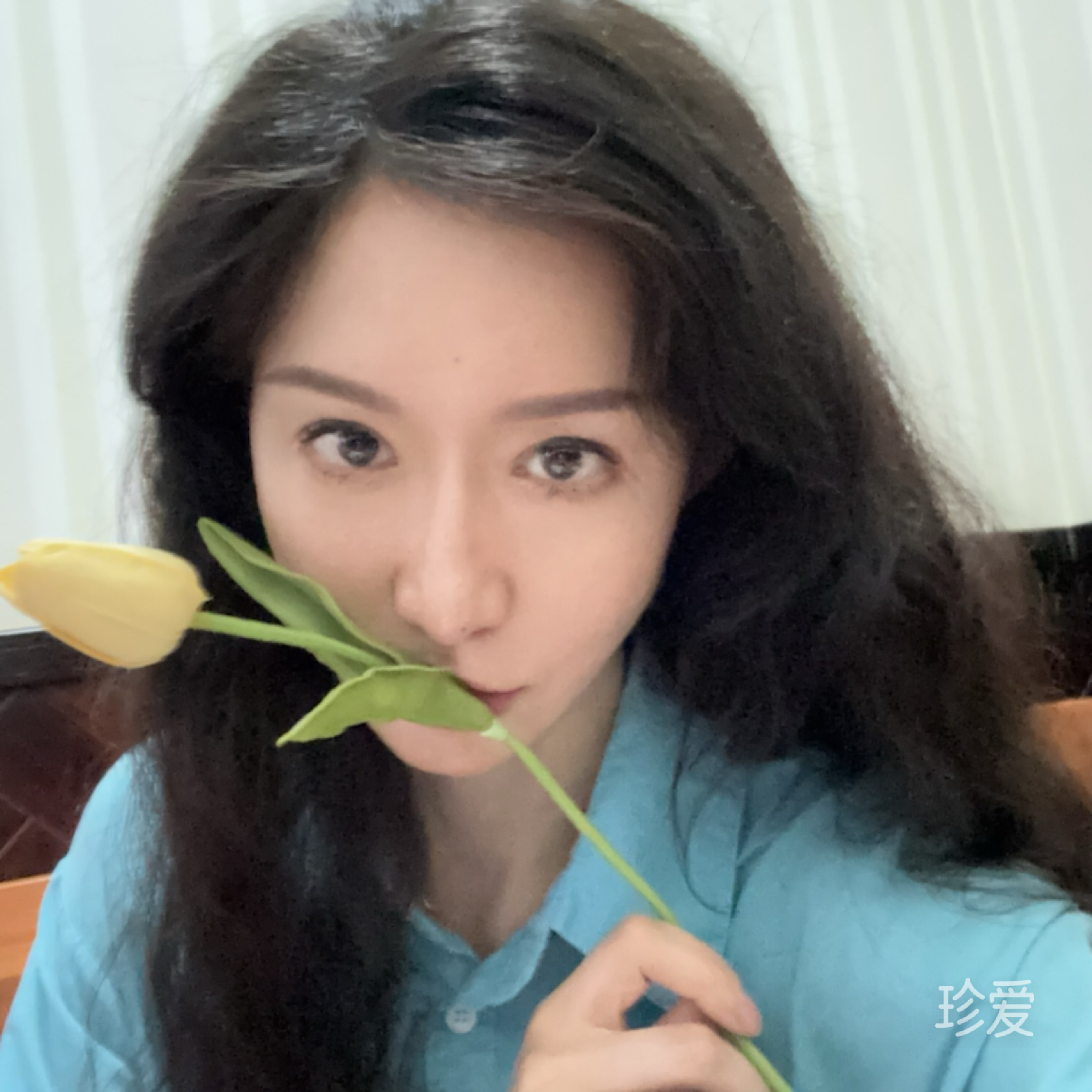 菲菲