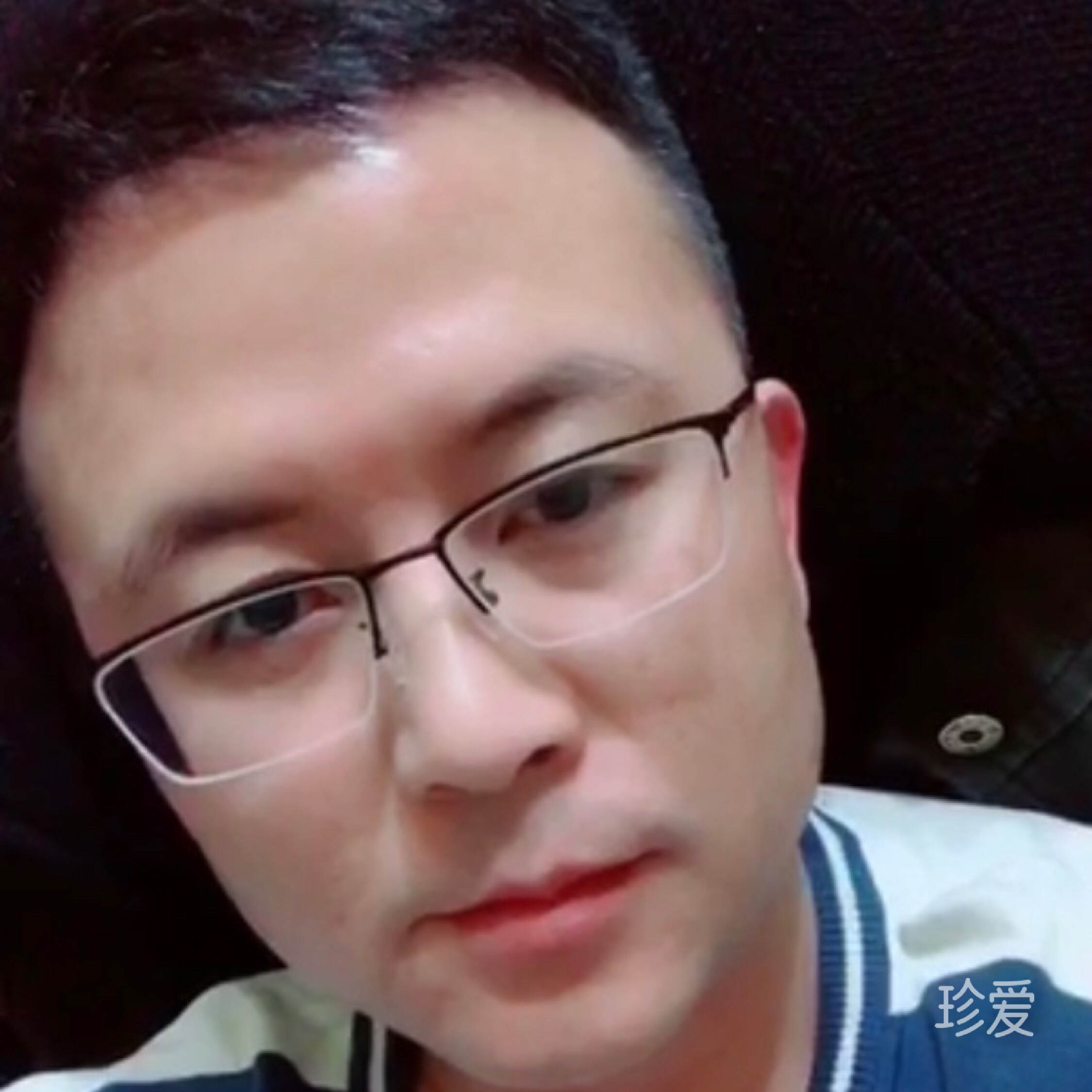 海洋生物董生DS