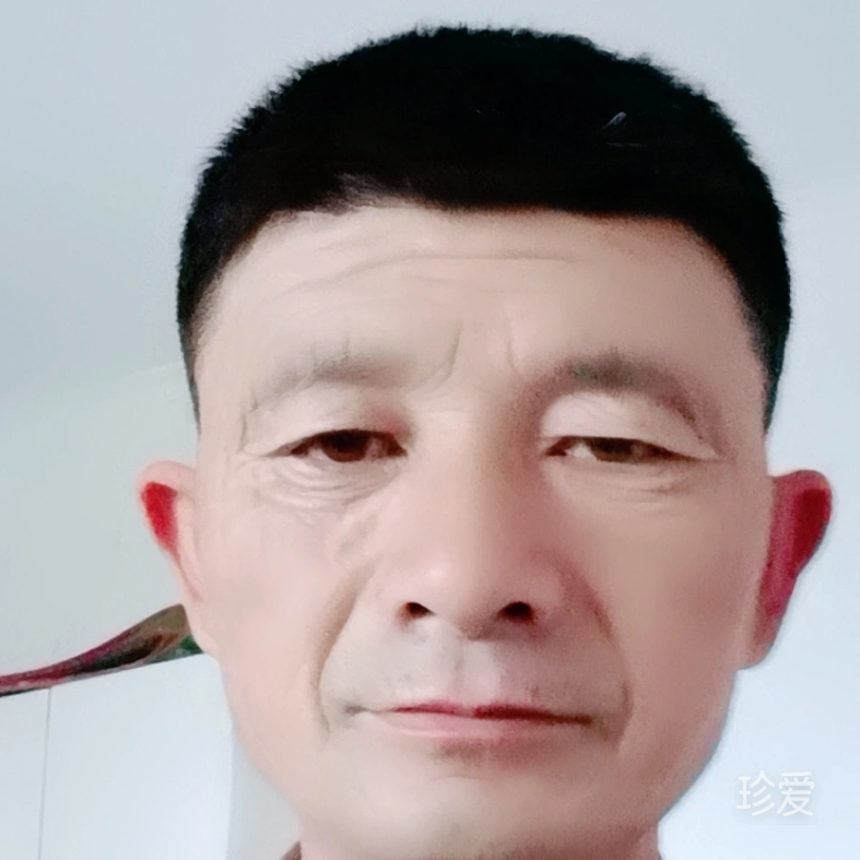 寻爱
