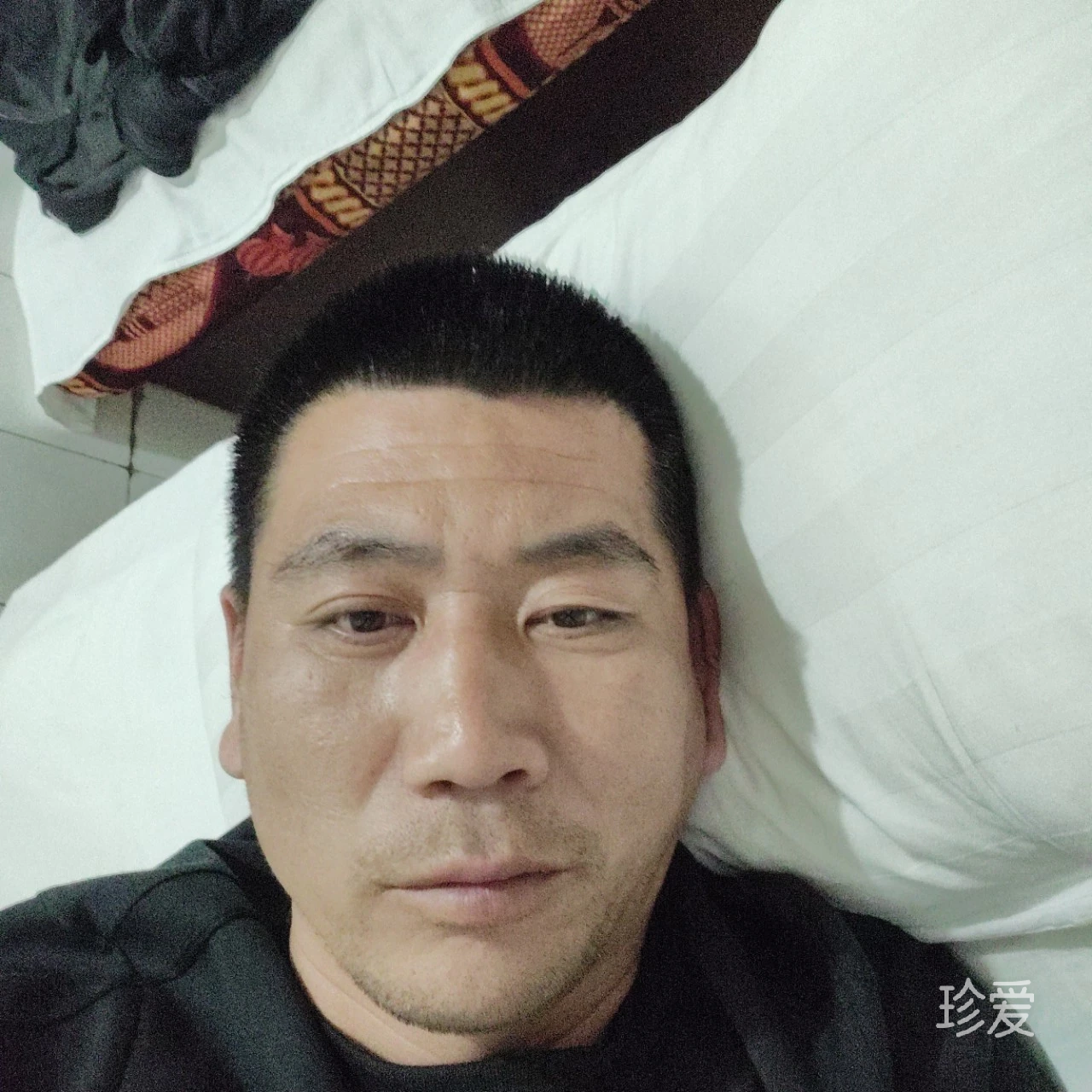 直白真城