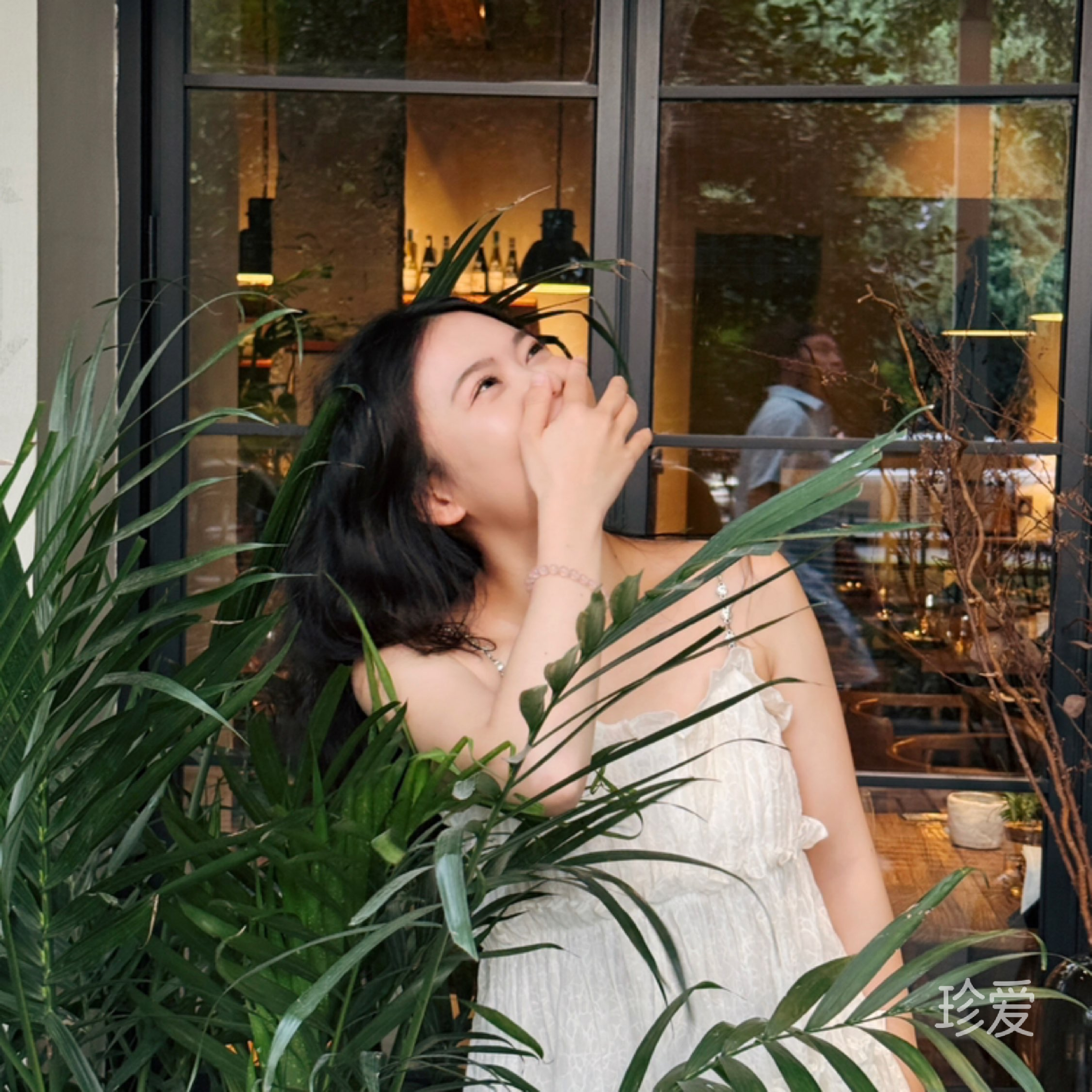 掉落在地上的松果