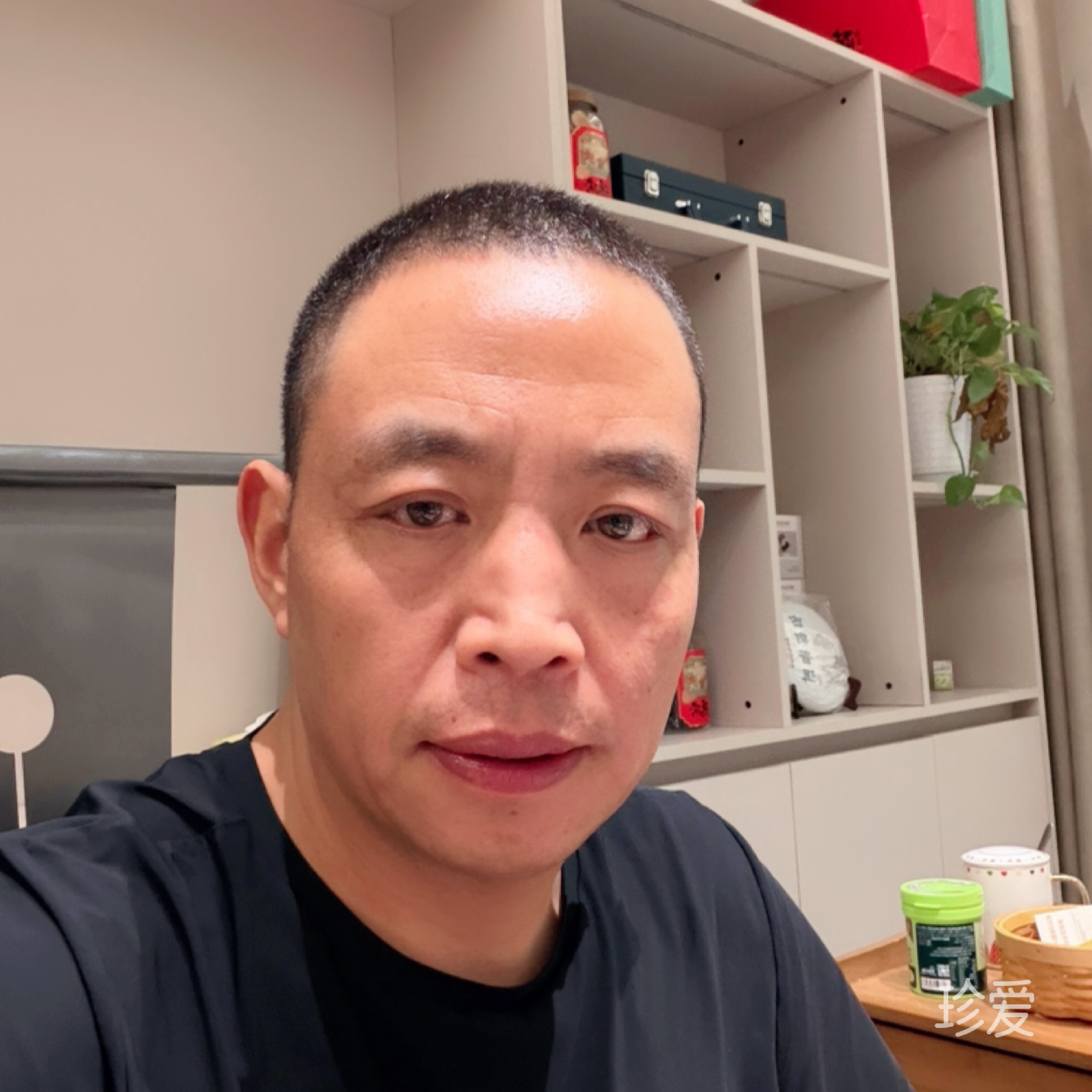 继续伤我