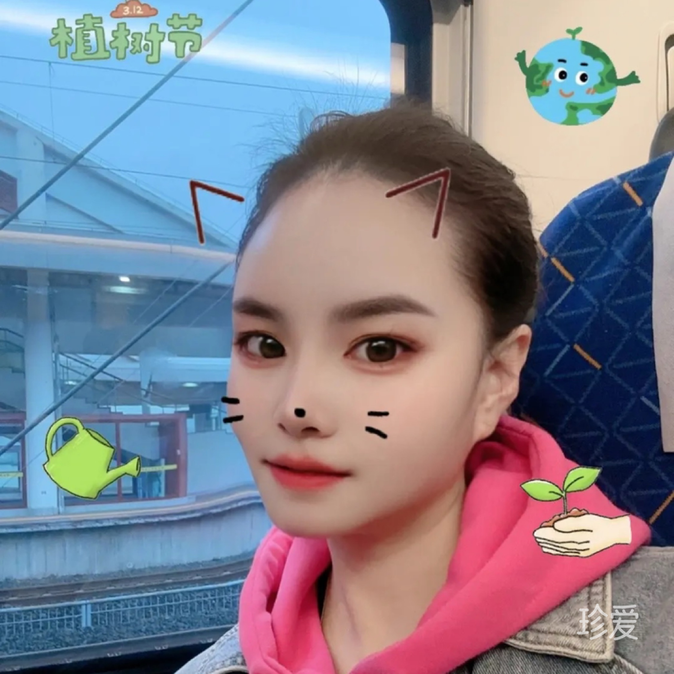 兰花草