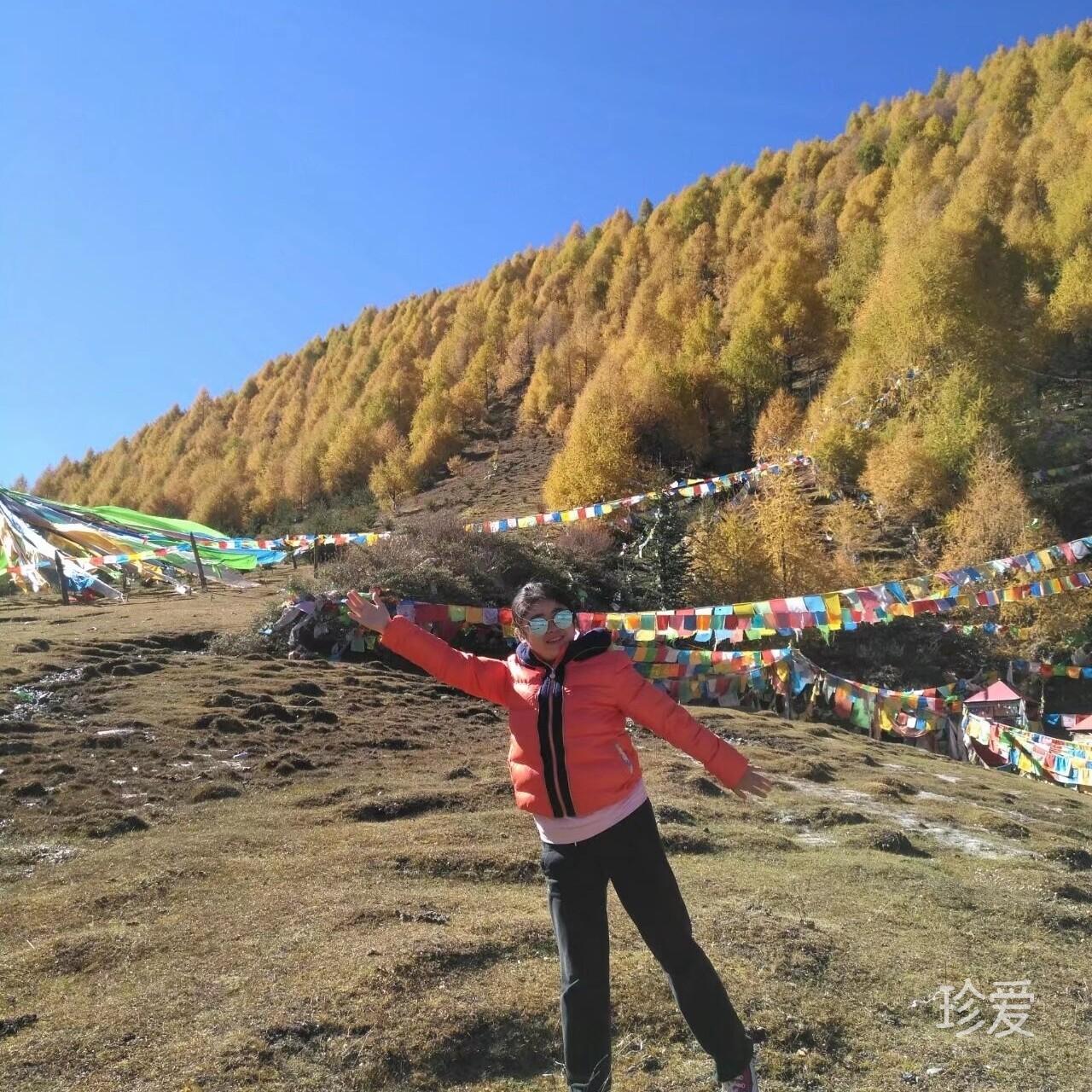 自由自在