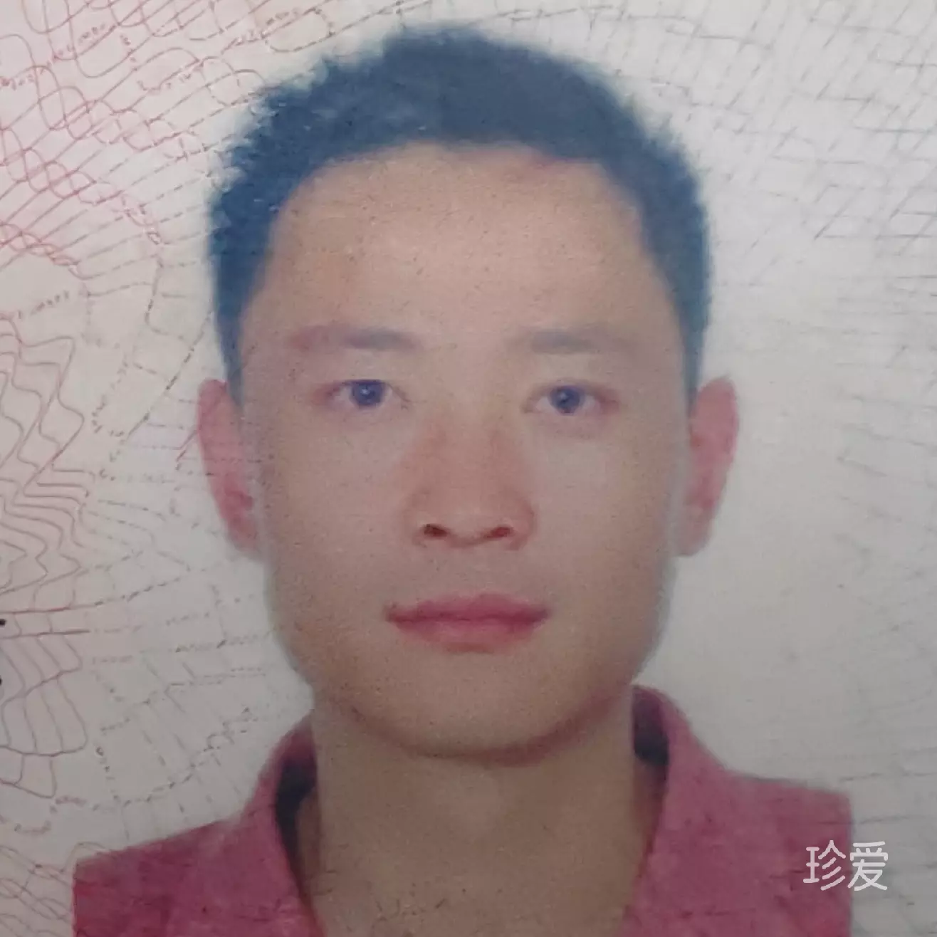 静动情缘