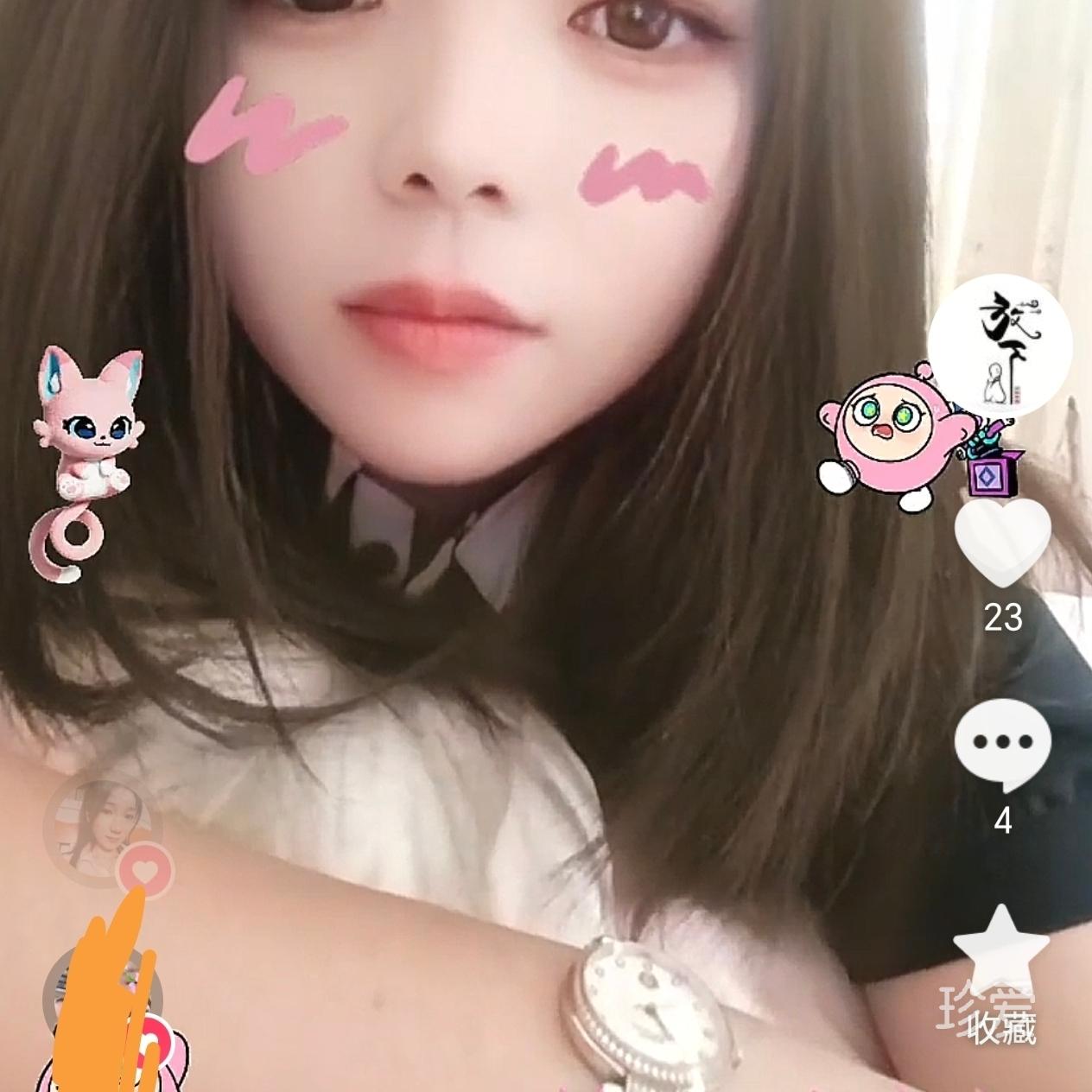 又见蔷薇花开又见开