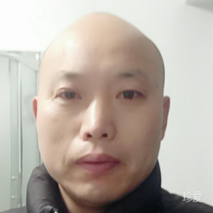 為愛尋找一個港灣