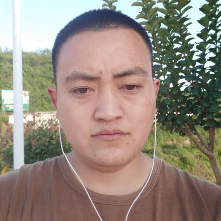秋风不懂落叶情