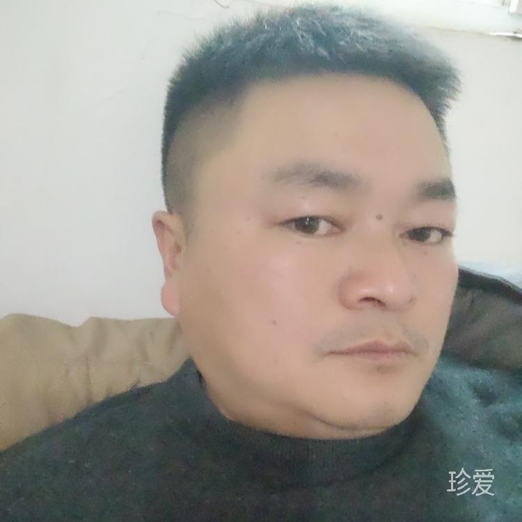 諾無共鳴沉默即安