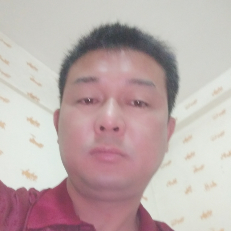 单身求爱