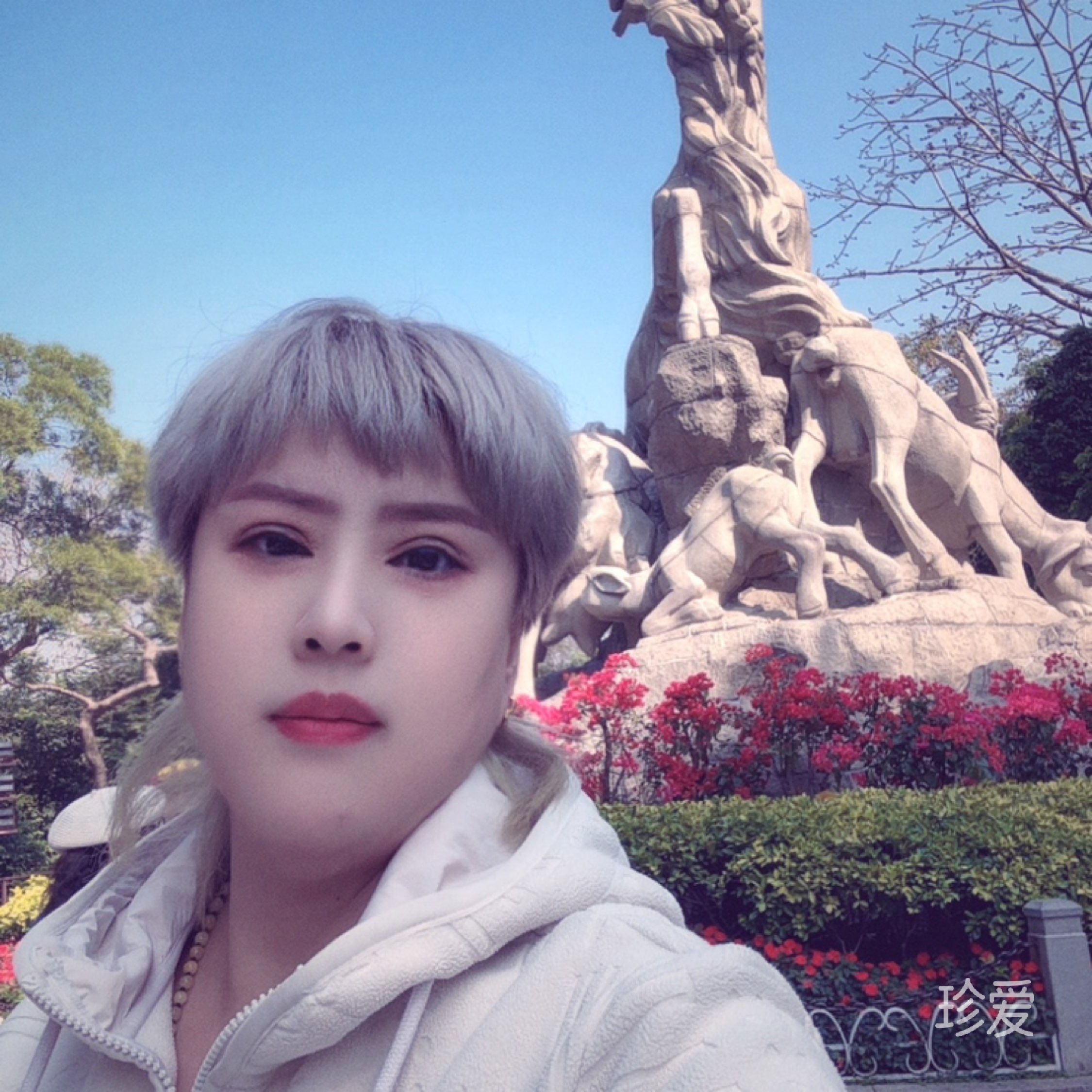 珍起