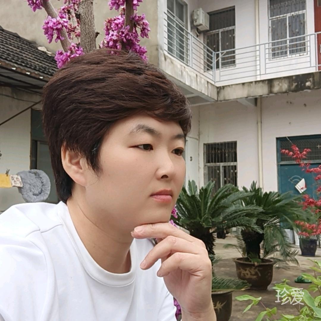 我愿与君绝