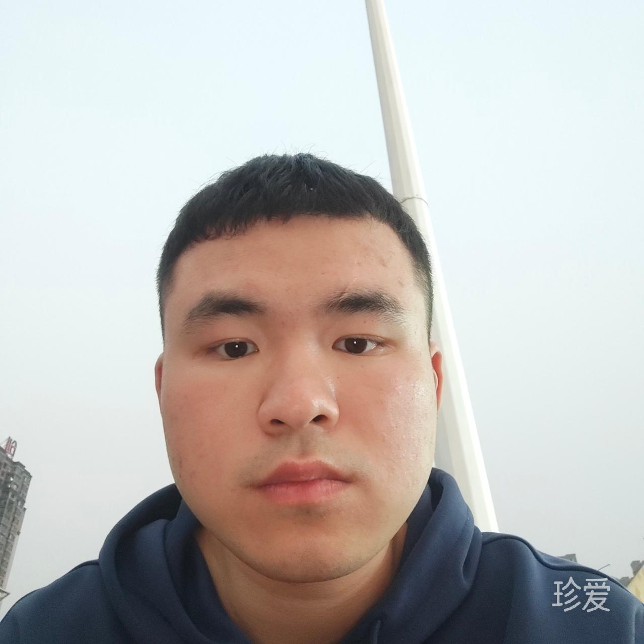 愛喝奶茶的加菲