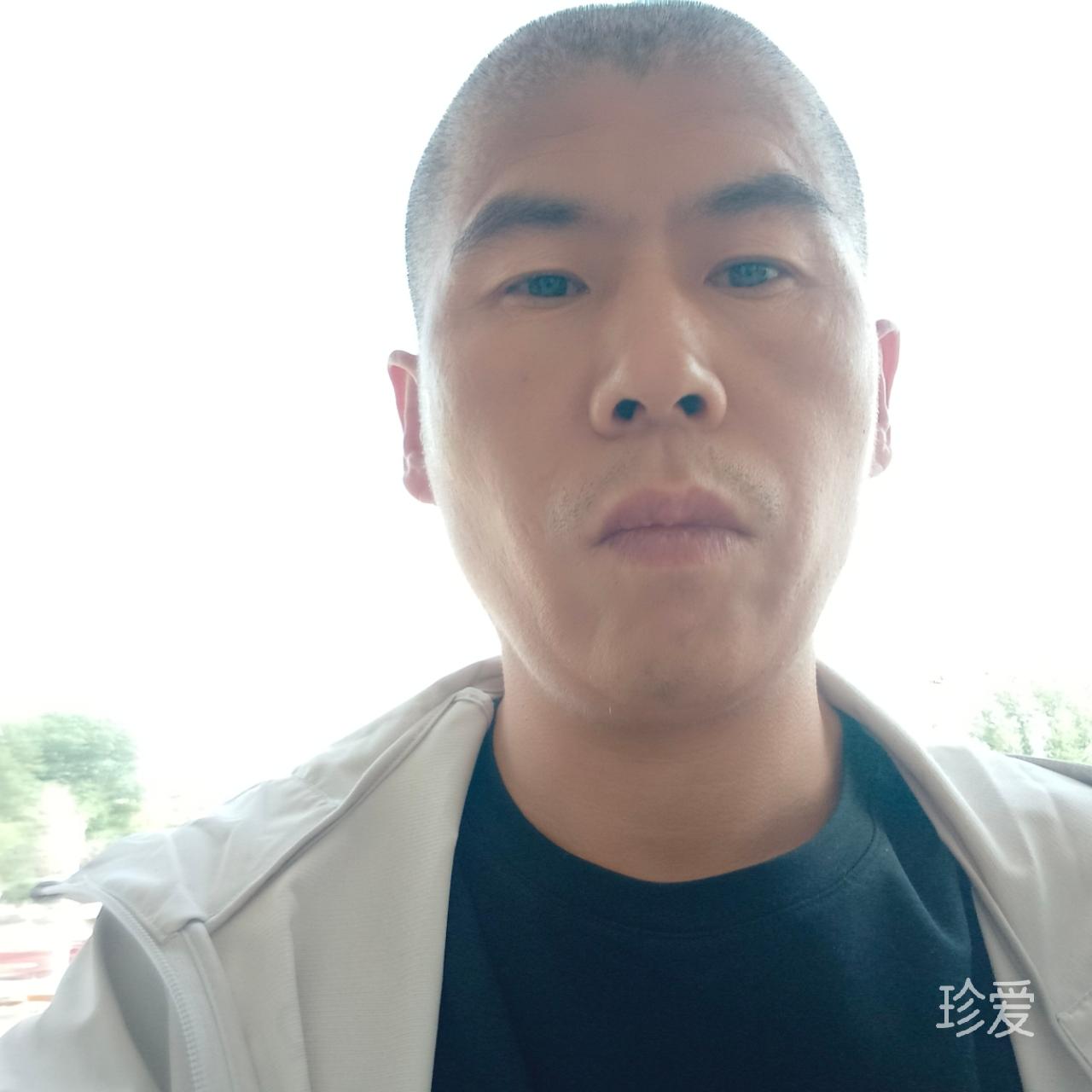 孤月苍狼