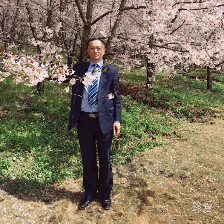 寻找缘分顾家的人