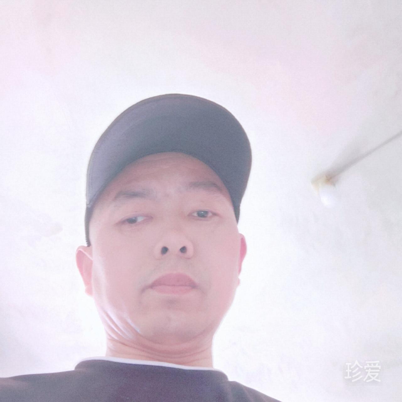 聪明草