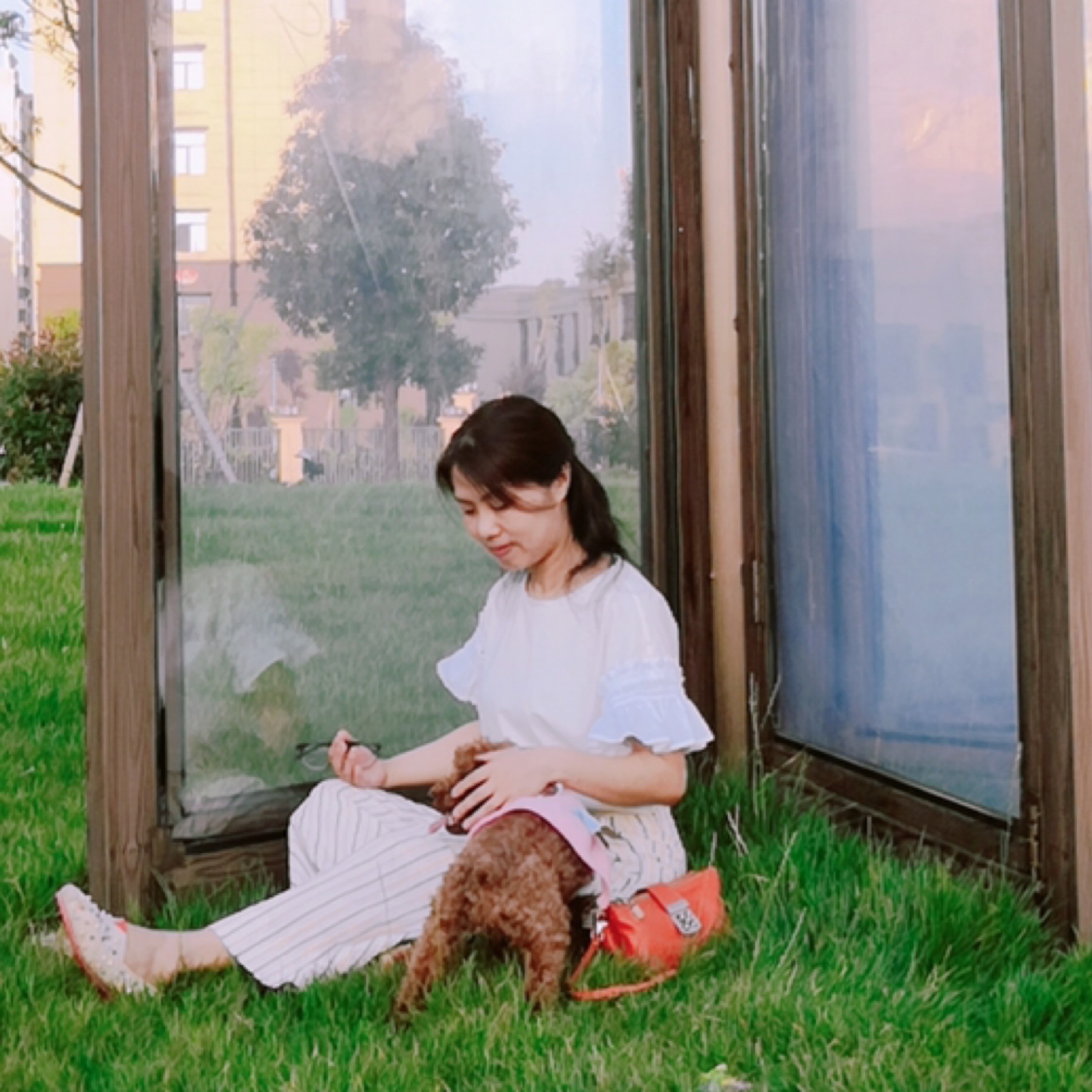 風(fēng)雨中的香水百合