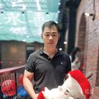 秋季的风