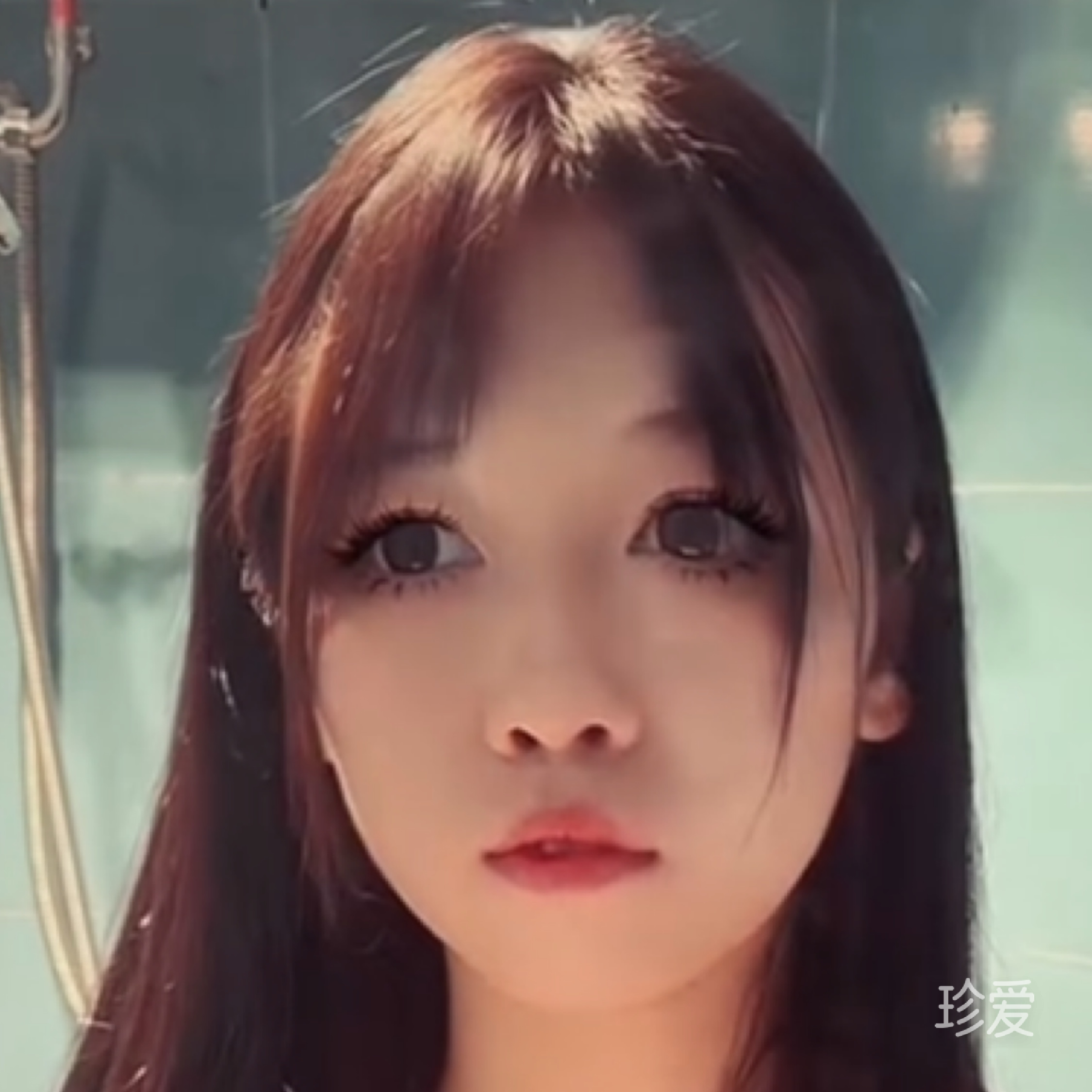 芒芒
