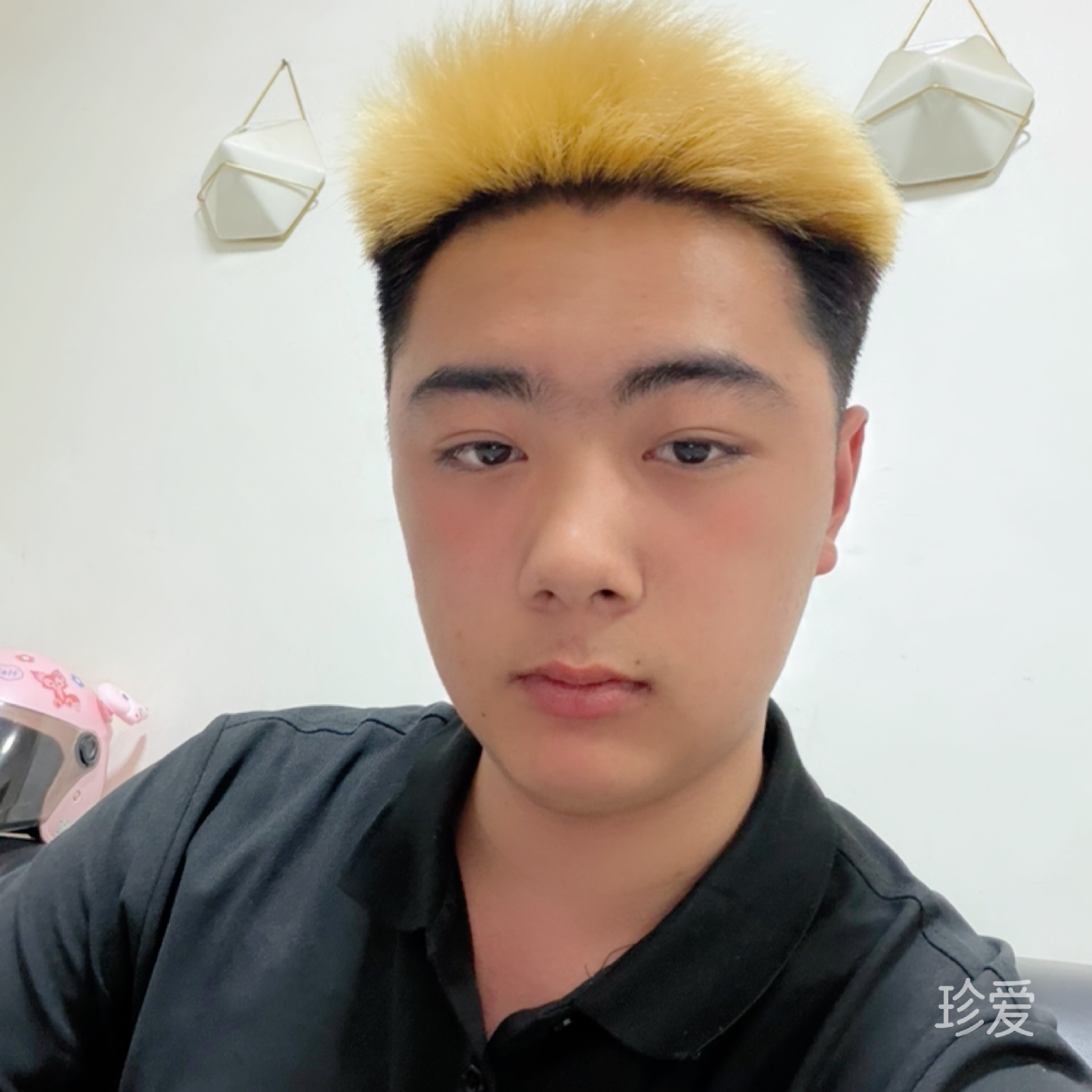 朴屯baby哥