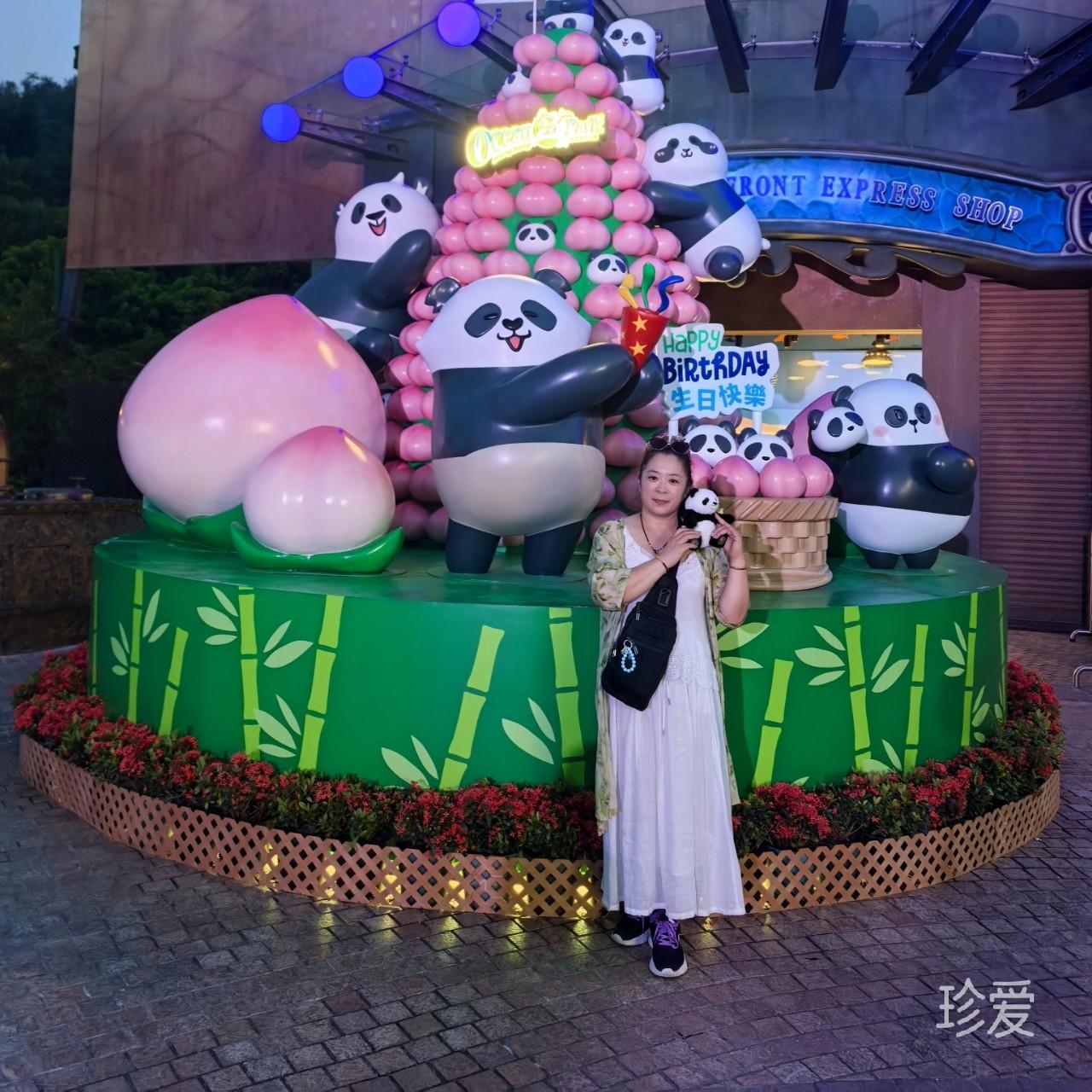 阳光下的海鸥