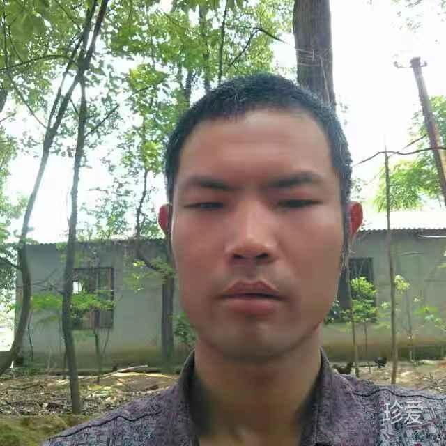 认认真真做事诚诚