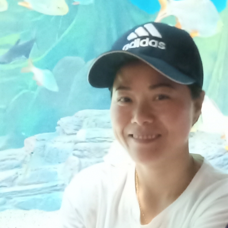 懂我的人来找我