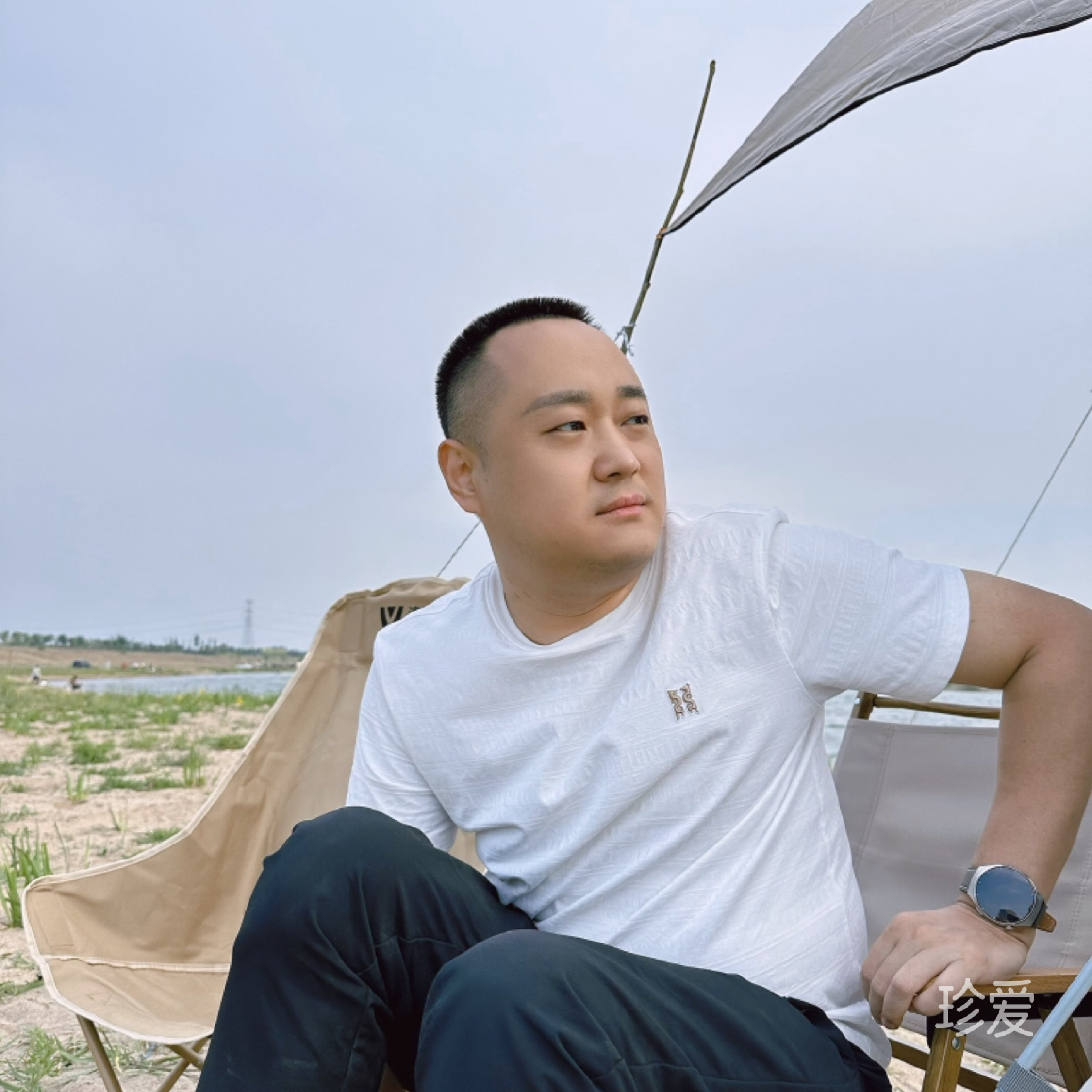 梧桐树下