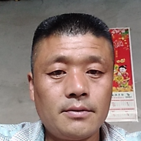 心若安好