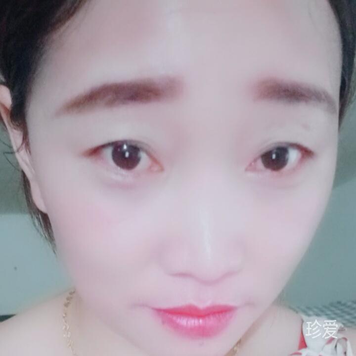 冰鸟