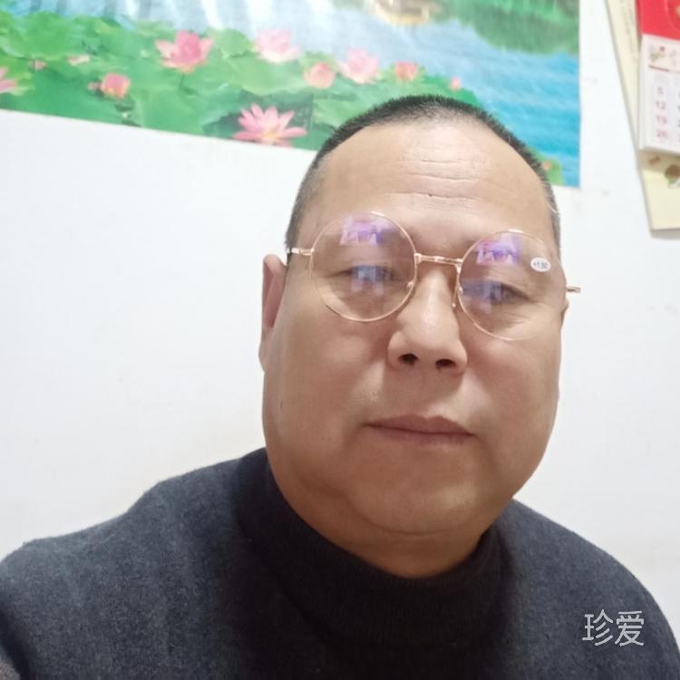 不停奔跑的兔子