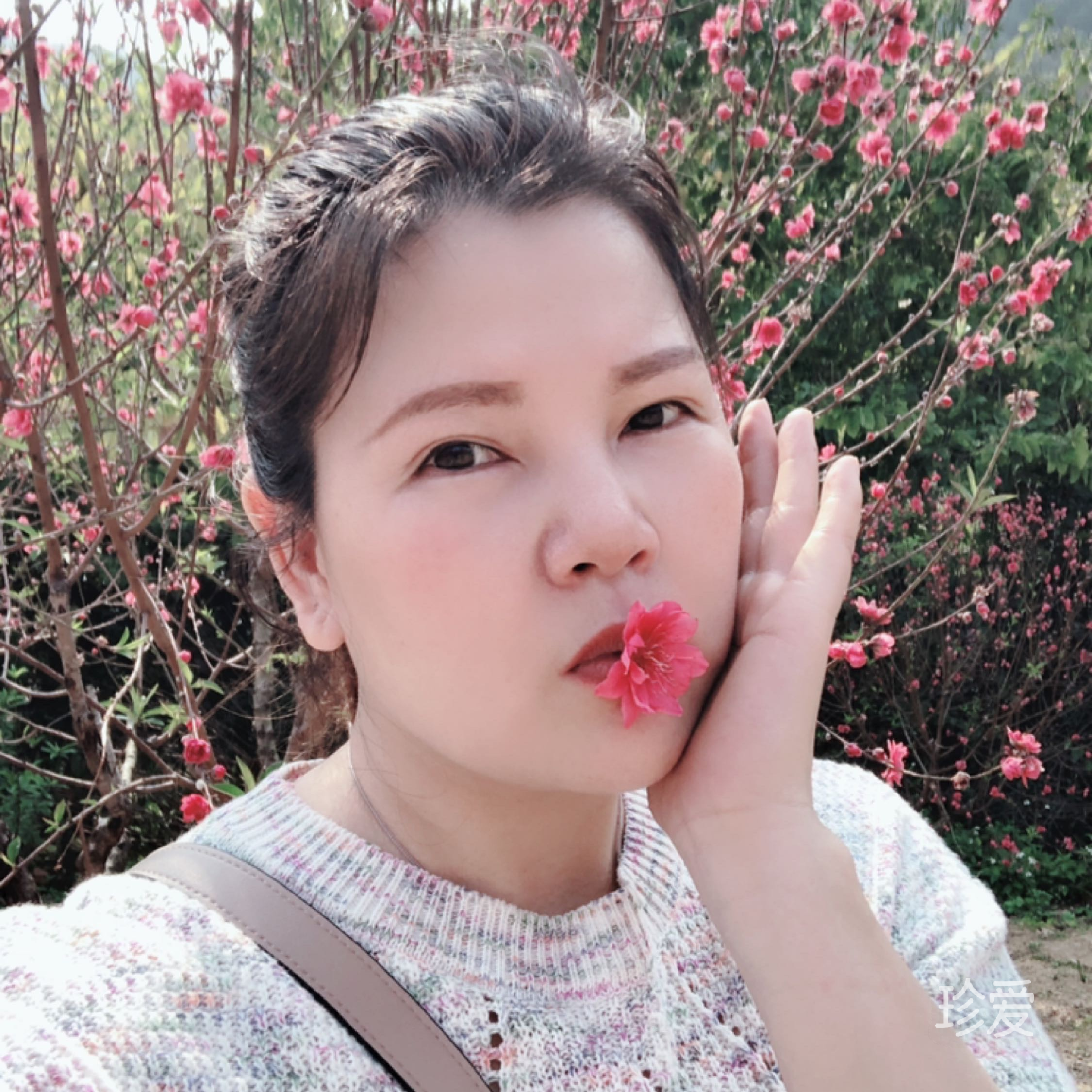 暗香流年