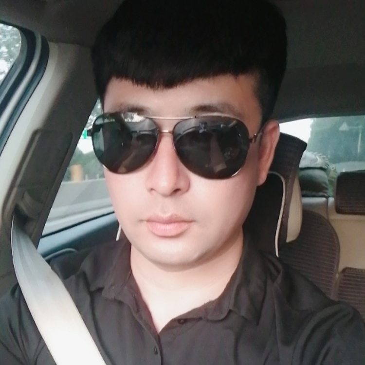 不動(dòng)情的貓