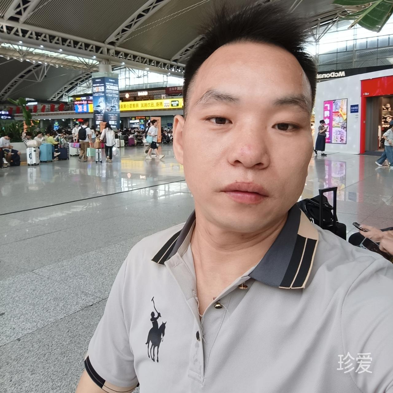 假装的安静
