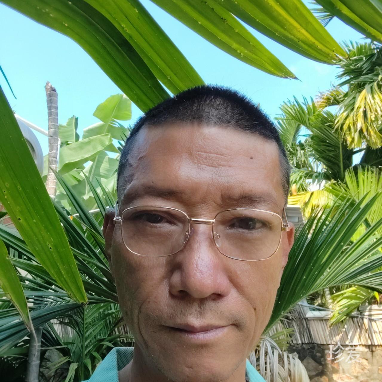 透明雨