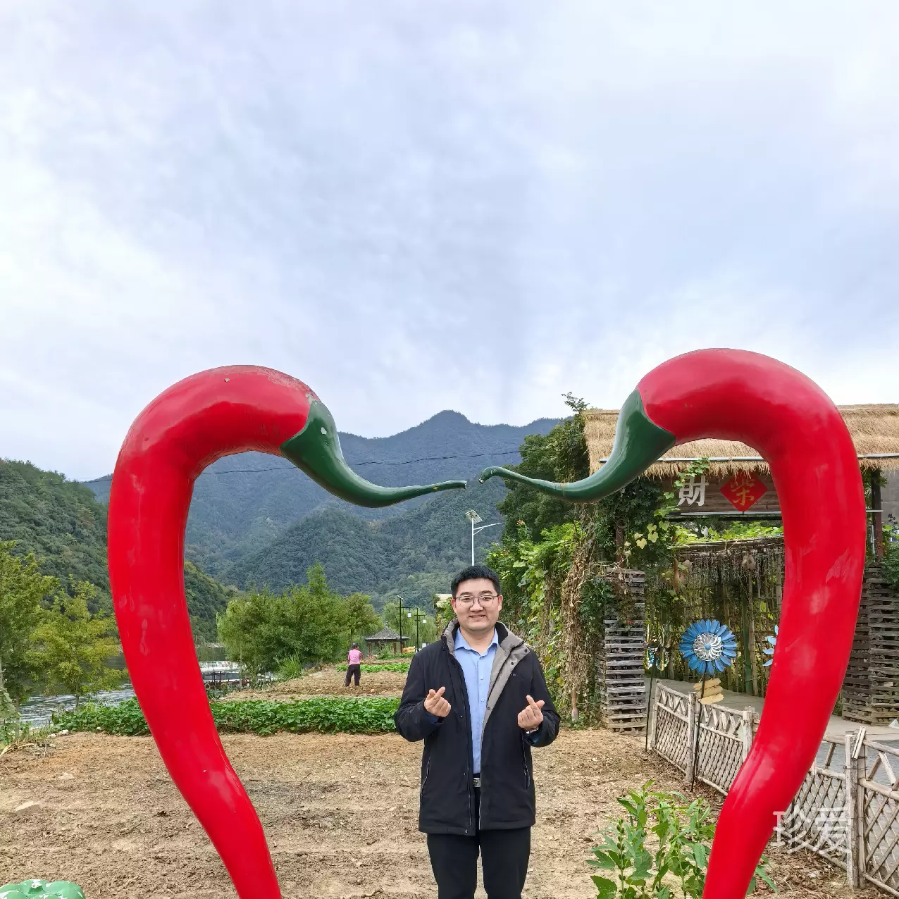 谭香木