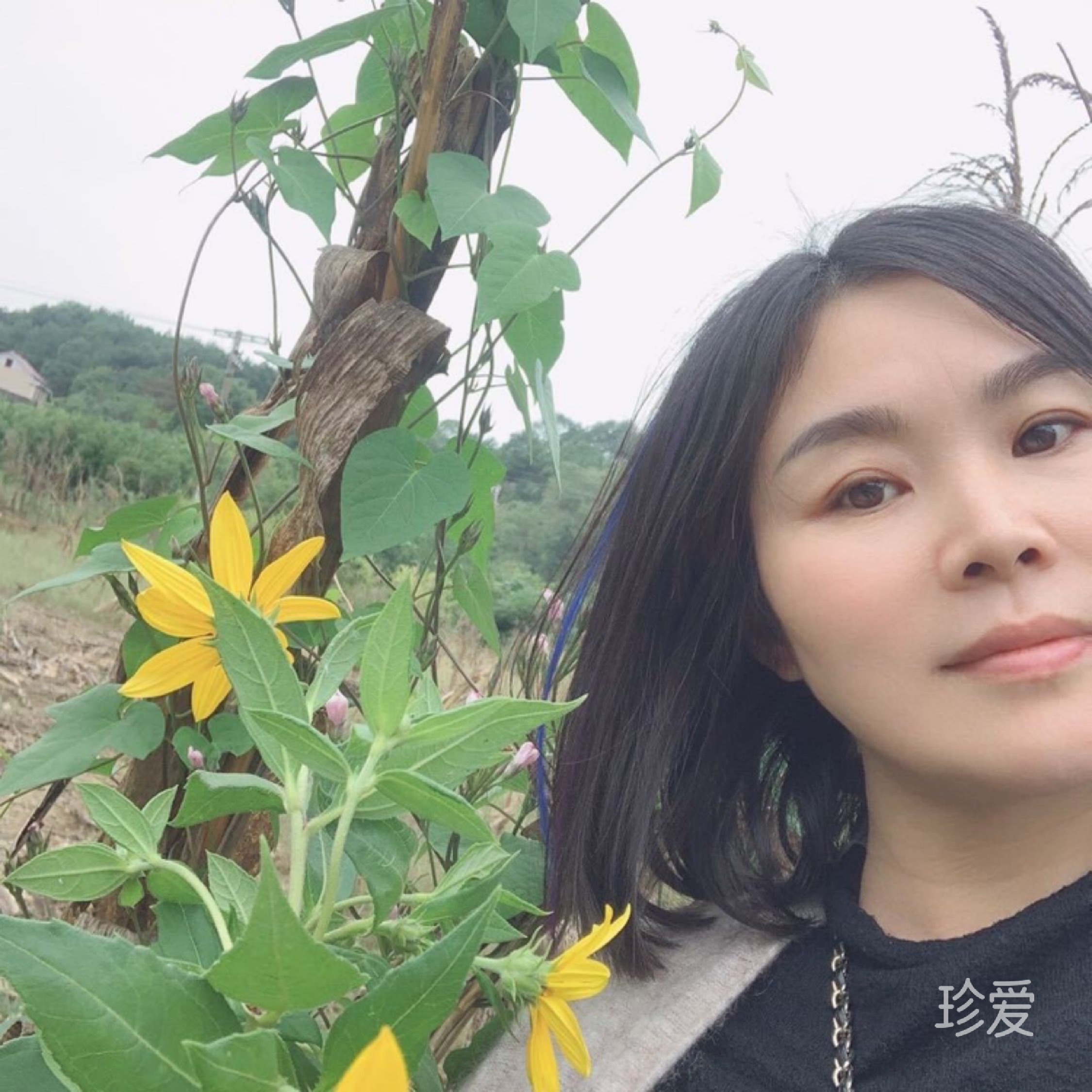 沐浴阳光