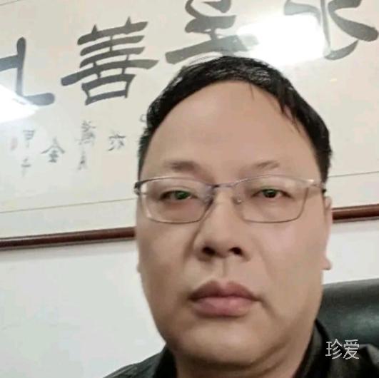 踏雪飞鸿