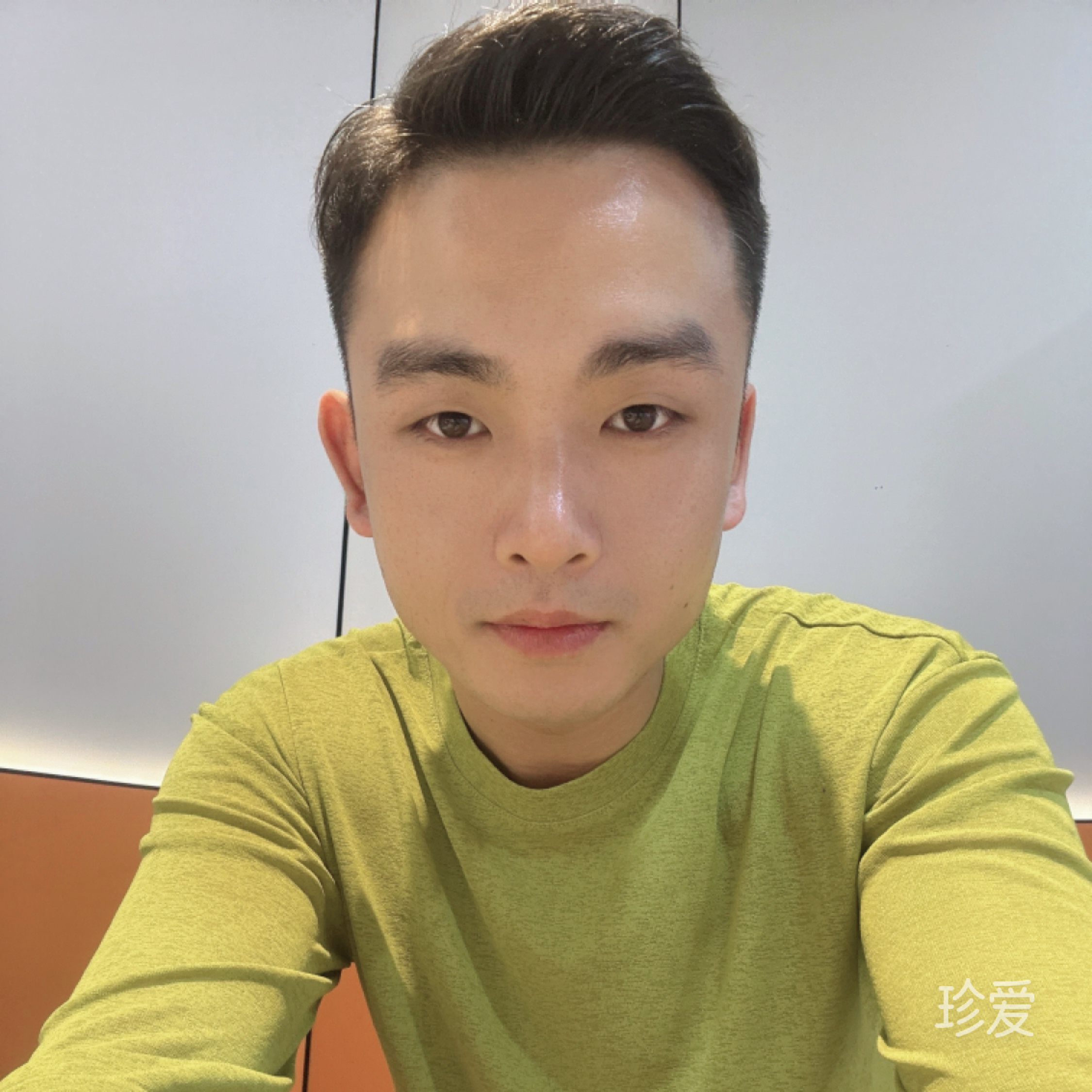 会飞的鱼