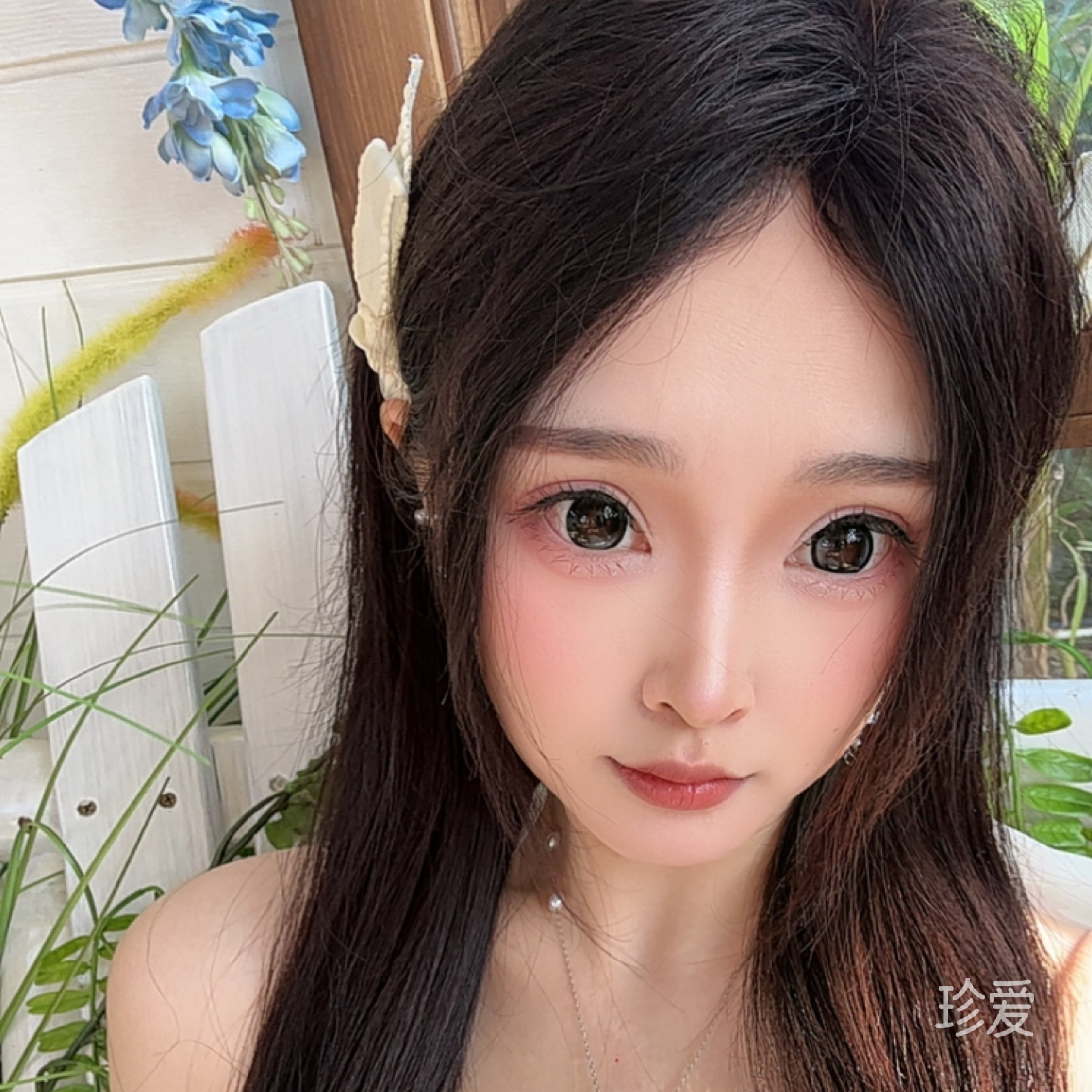 狸狸