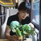 風(fēng)荷晚香