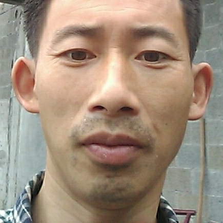 彬彬想见你